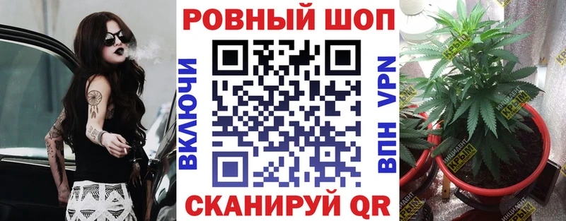 Хочу наркоту Шлиссельбург Бошки Шишки  mega сайт  Кокаин  ГАШ  Меф  А ПВП 