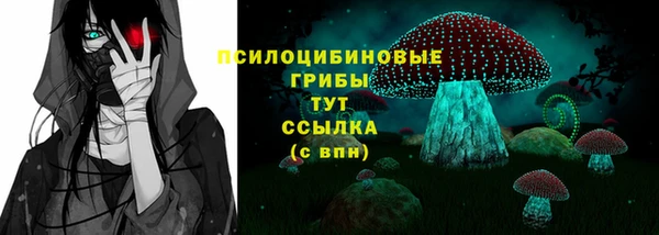 Альфа ПВП Ладушкин
