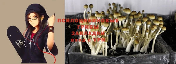 мескалин Абаза