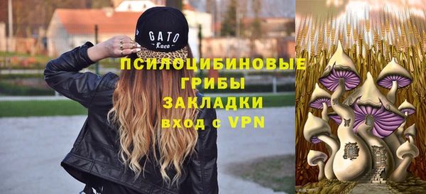таблы Лагань