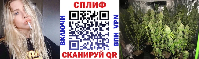 kraken   Шлиссельбург  МАРИХУАНА Amnesia  магазин продажи наркотиков 